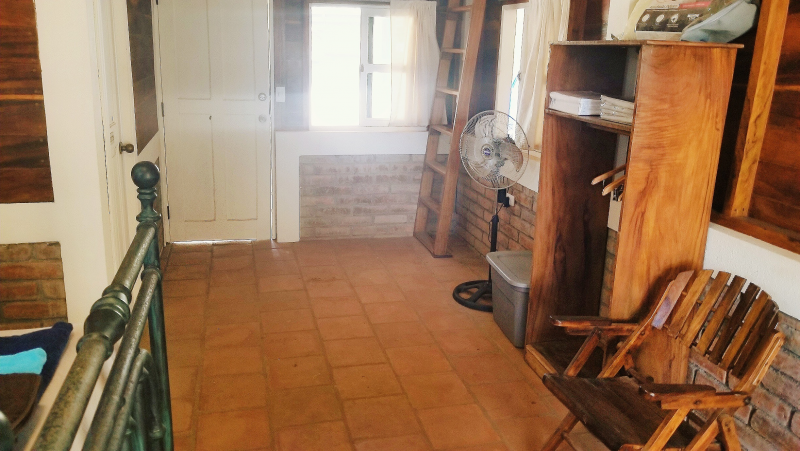 picture 1