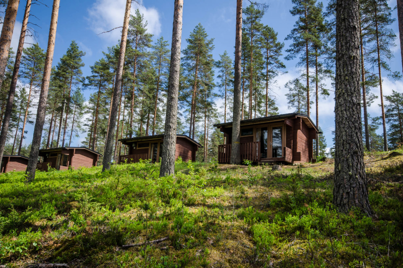 Ahvenlampi Camping | Leirintäalue perheystävällisellä ilmapiirillä.  Lemmikit sallittu