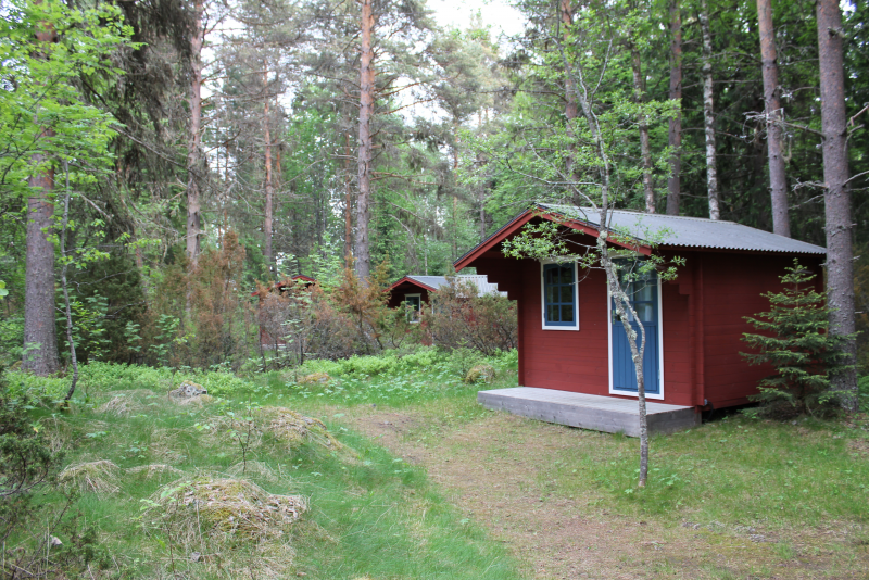 picture 1