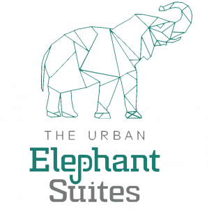Urban elephant suites