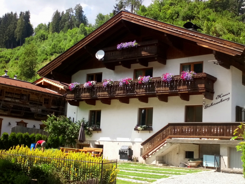 picture 0