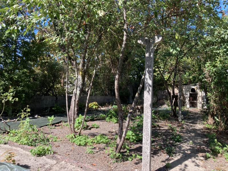 picture 1
