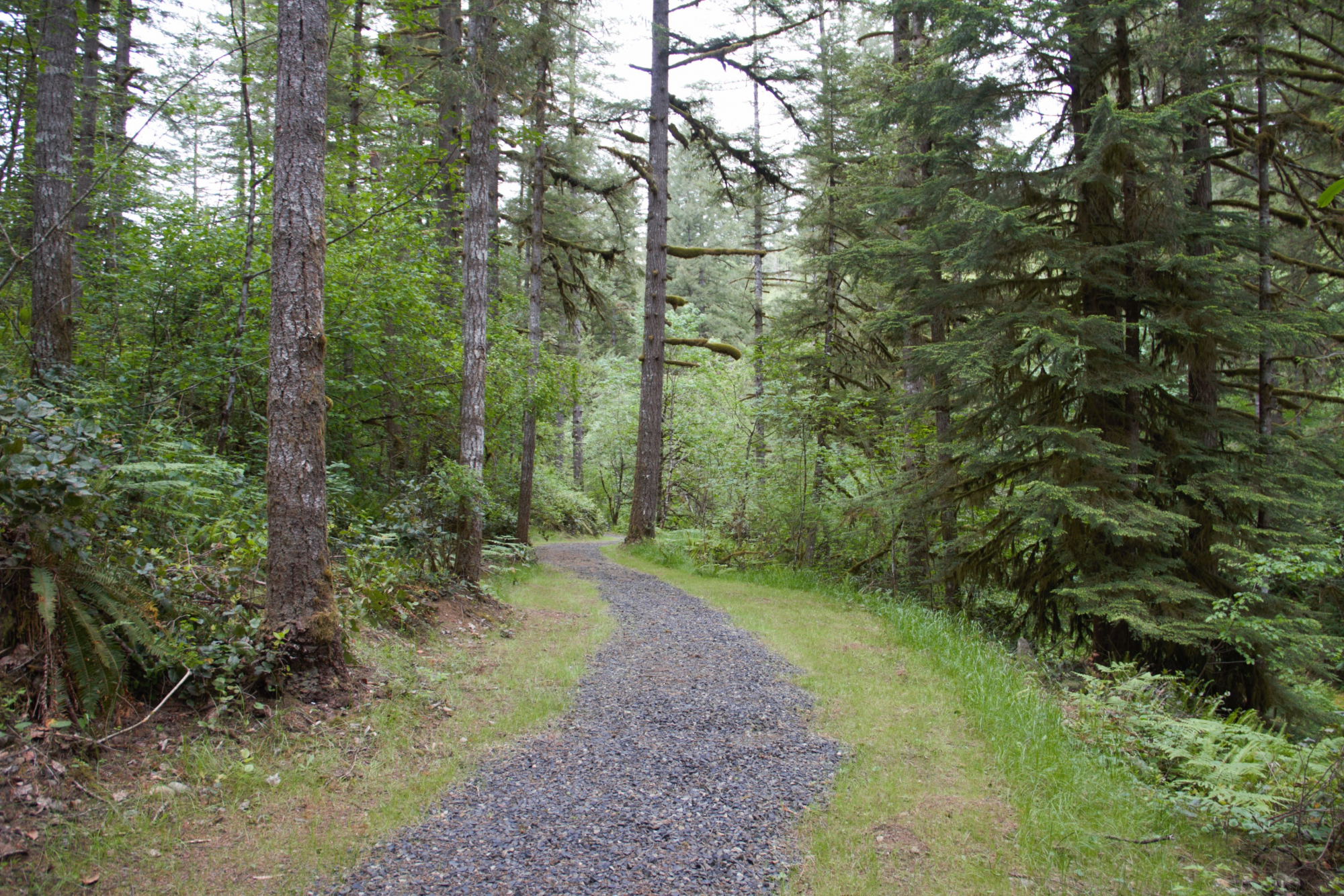 picture 1