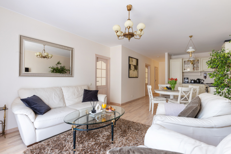 Erdvūs apartamentai senamiestyje (dvivietis)