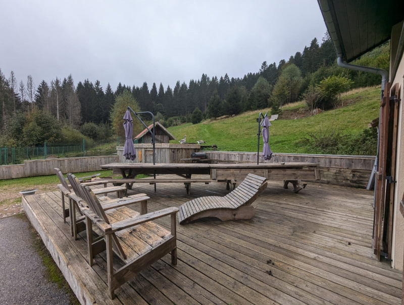 060- Les Jonquilles  - photo 4