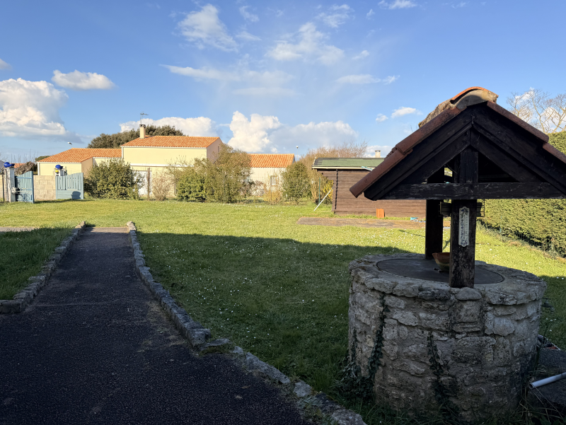 picture 22