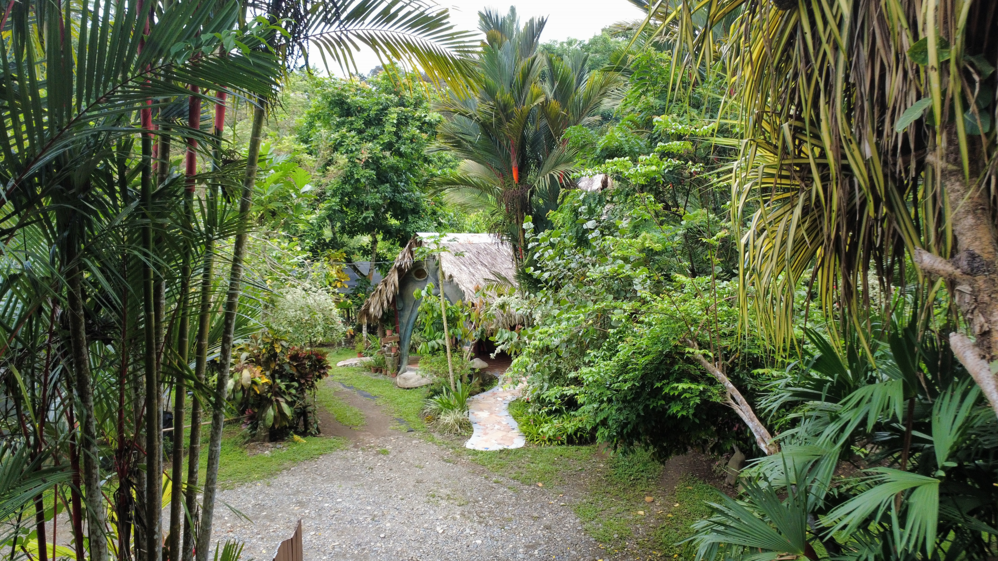picture 1