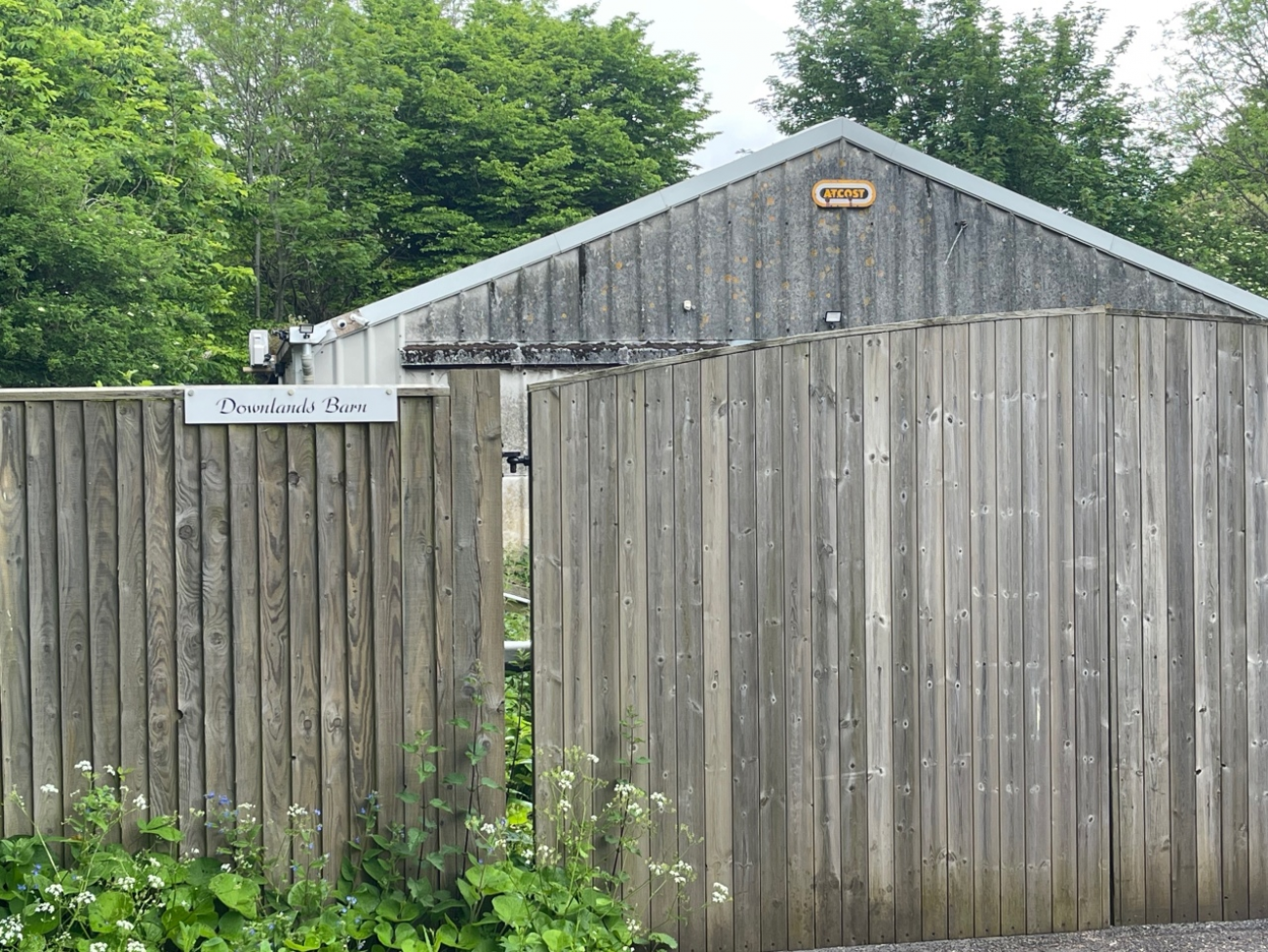 picture 1
